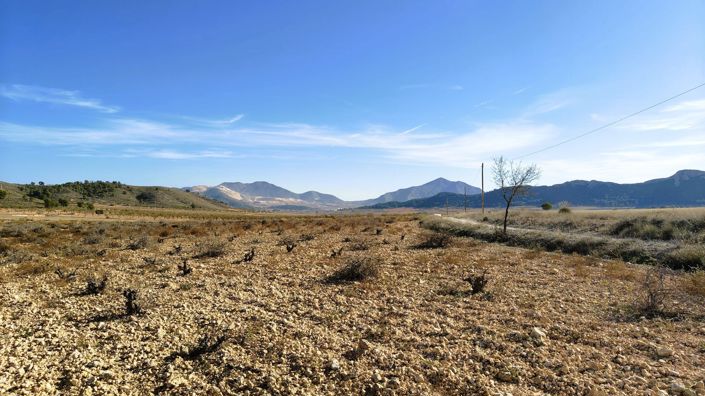 Image No.8-Land for sale