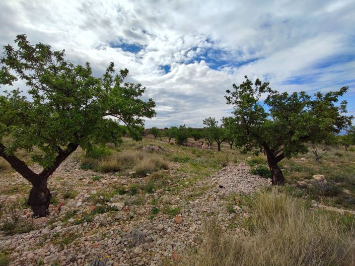 Image No.30-8 Bed Villa for sale