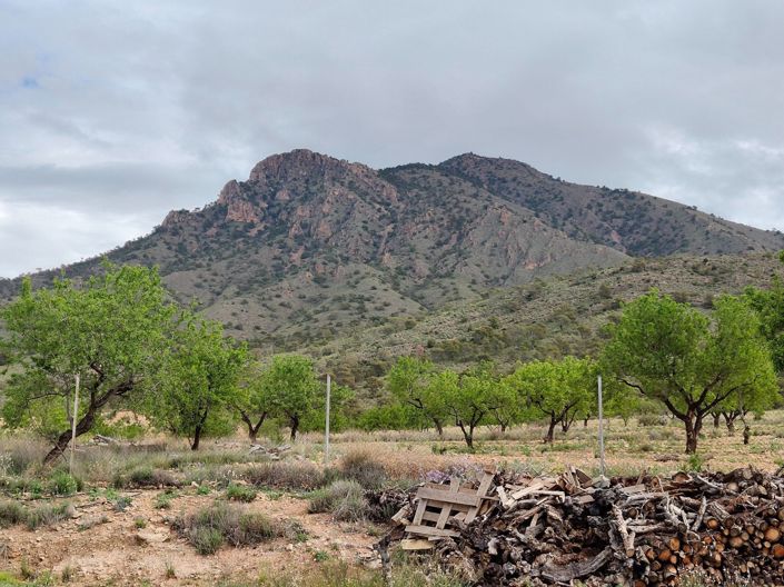 Image No.31-8 Bed Villa for sale