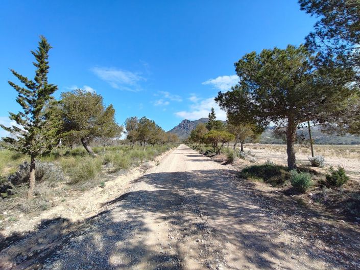 Image No.34-8 Bed Villa for sale