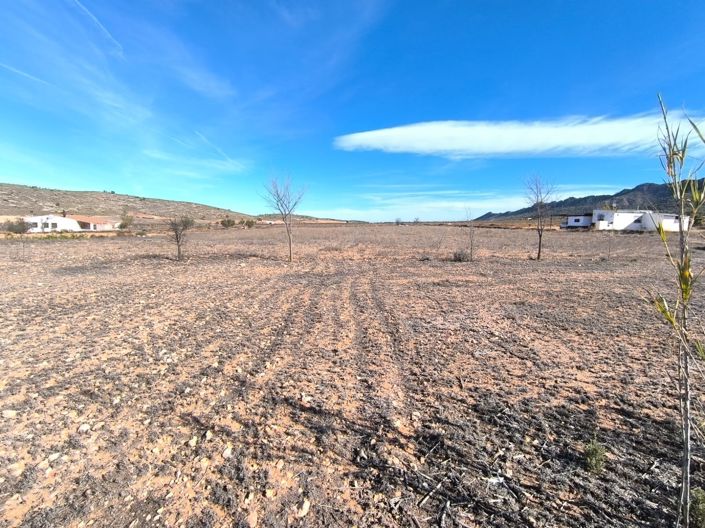 Image No.16-Maison de campagne de 3 chambres à vendre à Yecla