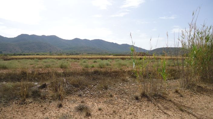 Image No.20-3 Bed Country House for sale