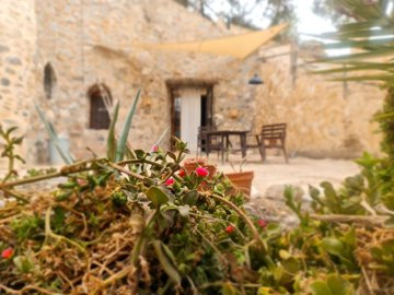 Stratus International most sold property