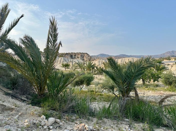 Image No.26-5 Bed Country House for sale