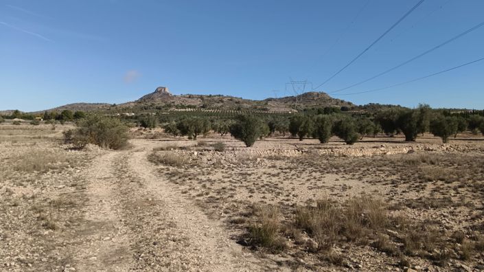 Image No.2-Land for sale