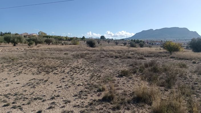 Image No.3-Land for sale