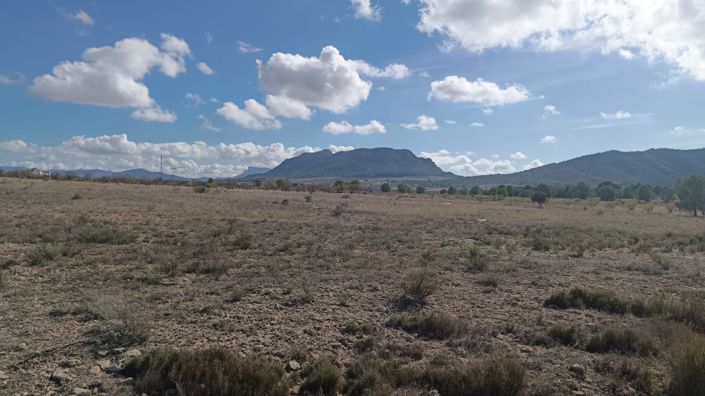 Image No.2-Land for sale