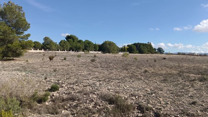 Image No.3-Land for sale