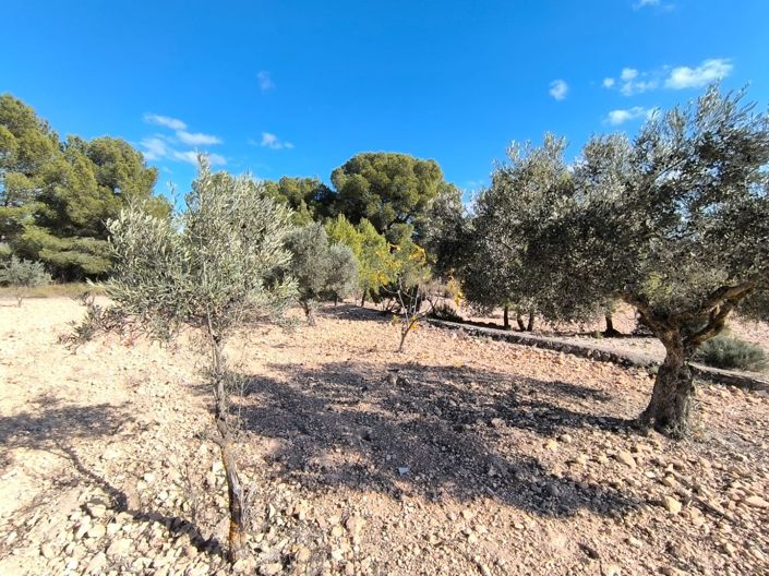 Image No.26-6 Bed Villa for sale