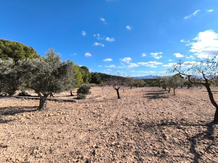 Image No.27-6 Bed Villa for sale