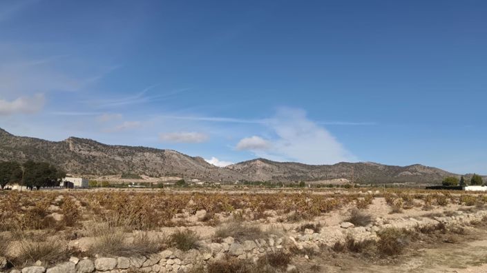 Image No.1-Land for sale