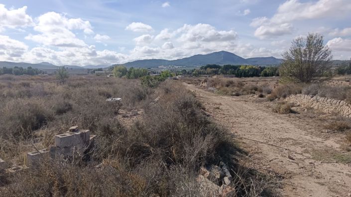 Image No.2-Land for sale