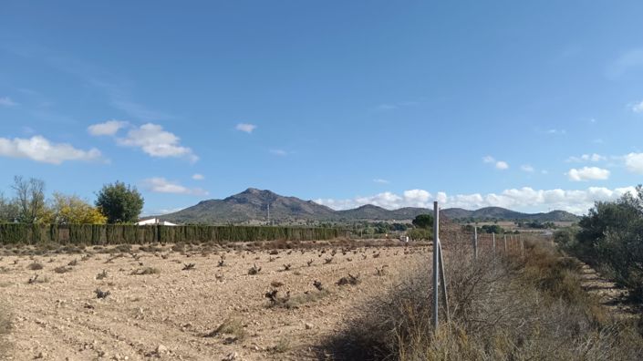 Image No.5-Land for sale