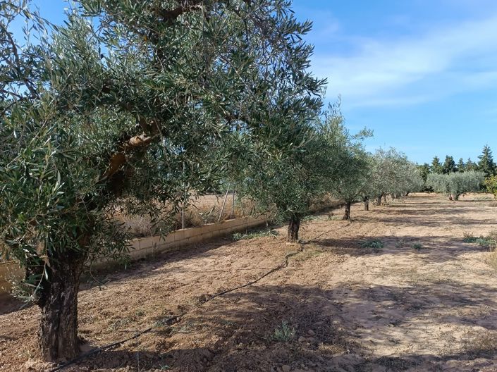 Image No.23-3 Bed Villa for sale