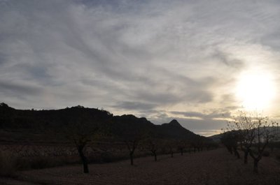 d692615266039769261526603dd