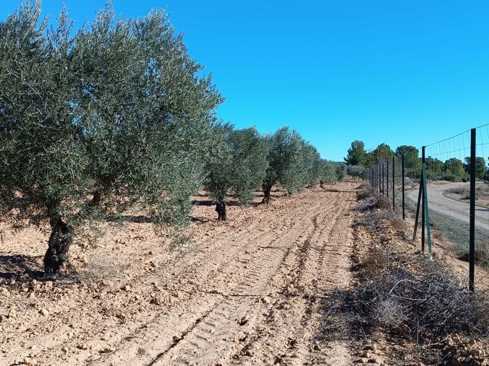 Image No.12-2 Bed Country House for sale