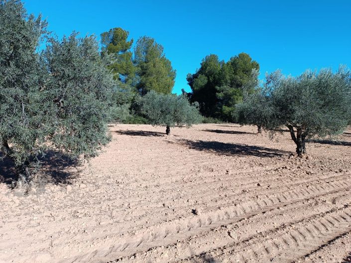 Image No.13-2 Bed Country House for sale