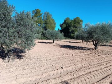 o1jbl8a6md1is5nrn1l2p178n1d6022