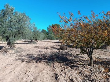 o1jbl8a6md1813pss1k0c211t623