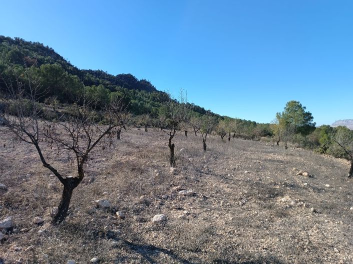 Image No.6-3 Bed Country House for sale