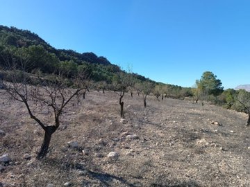 o1jbl3nrapn561mke2v71il010bb1g