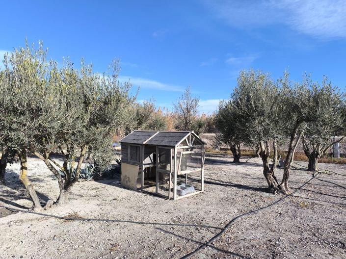 Image No.46-5 Bed Villa for sale