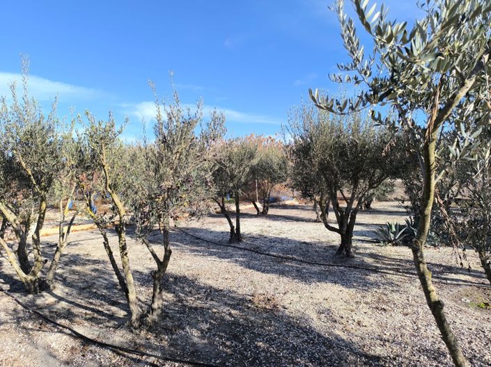 Image No.46-5 Bed Villa for sale