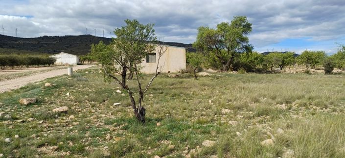 Image No.2-3 Bed Country House for sale