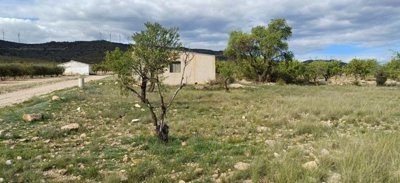 o1jbt1sa0r12fd1b9a5lj3v3mk21m