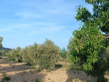 d6935bfe4671a16935bfe467200