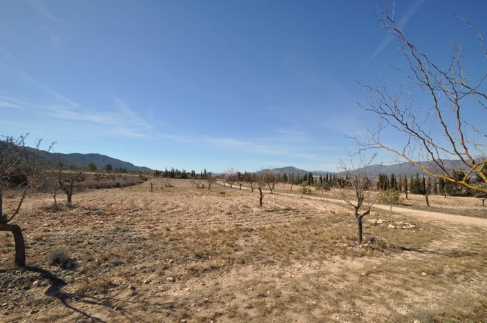 Image No.19-5 Bed Villa for sale