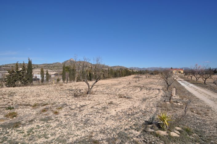 Image No.36-Villa de 5 chambres à vendre à Salinas