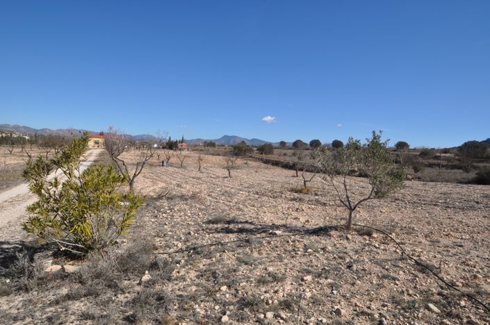 Image No.37-5 Bed Villa for sale