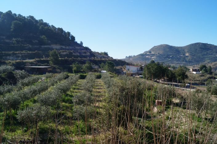 Image No.30-Villa de 4 chambres à vendre à Petrer