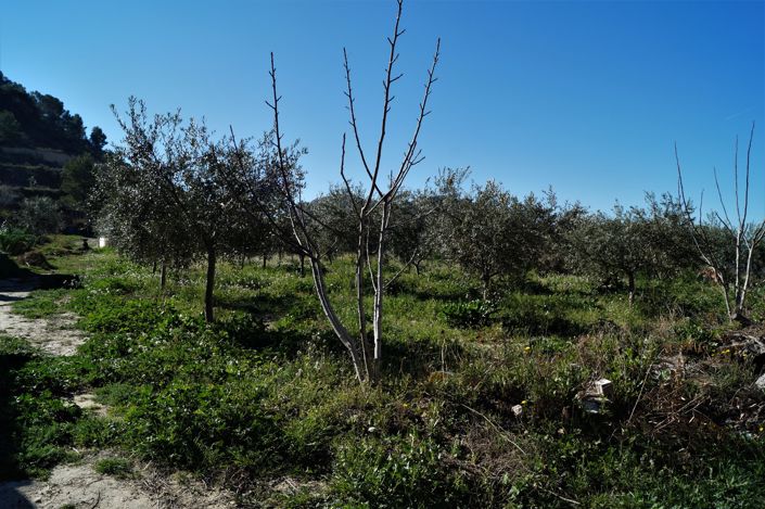 Image No.39-Villa de 4 chambres à vendre à Petrer