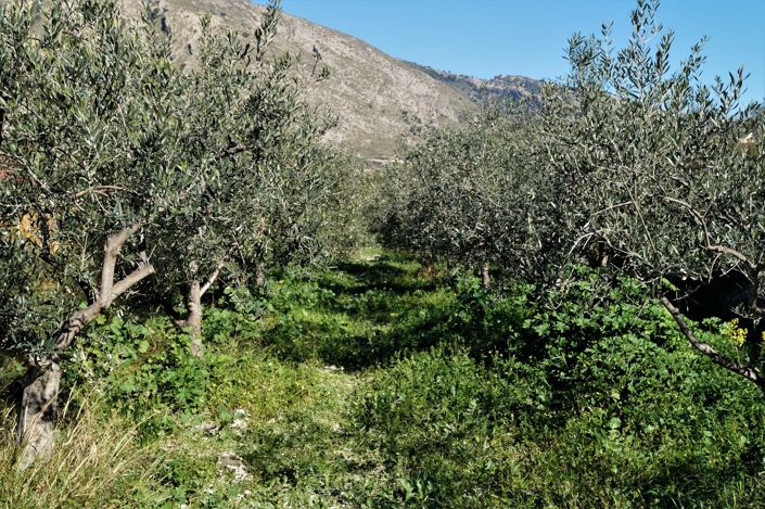 Image No.41-Villa de 4 chambres à vendre à Petrer