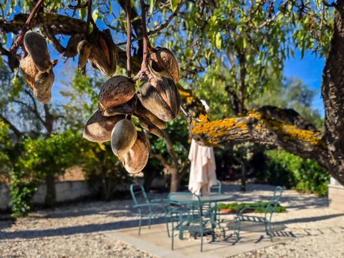 Image No.45-5 Bed Country House for sale