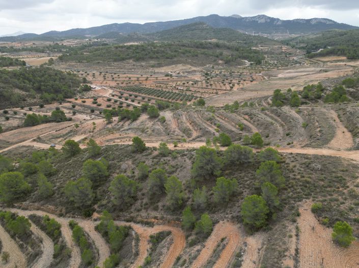 Image No.8-Land for sale