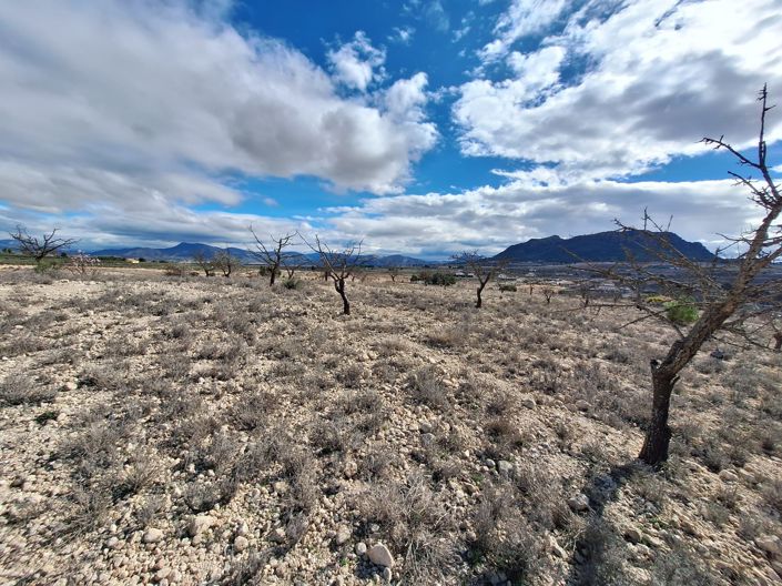 Image No.3-Land for sale