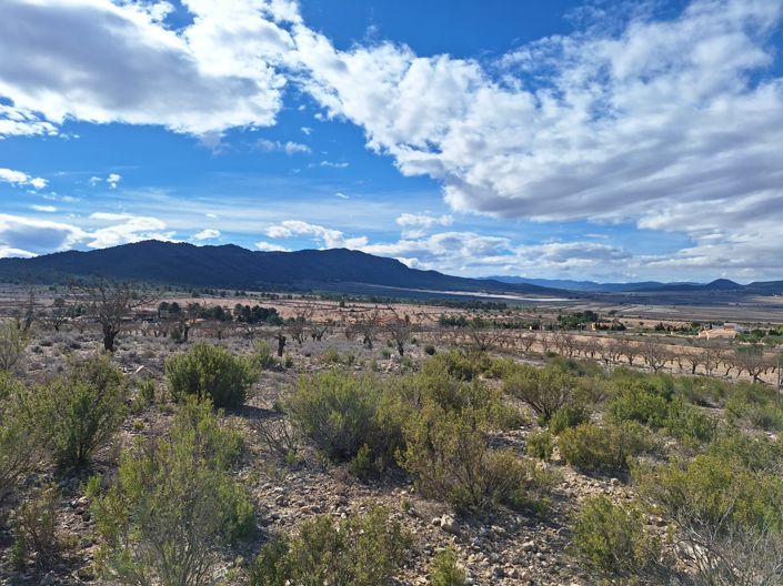 Image No.35-Land for sale