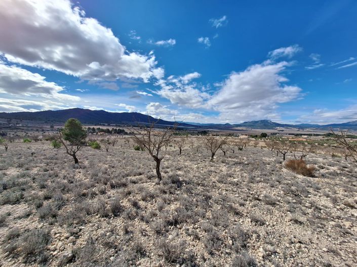 Image No.5-Terre à vendre à Salinas