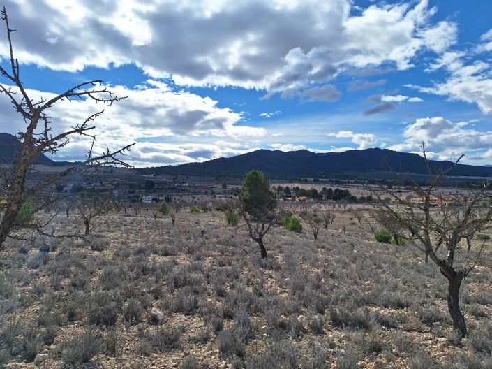 Image No.6-Land for sale