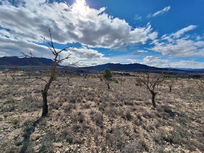 Image No.7-Land for sale