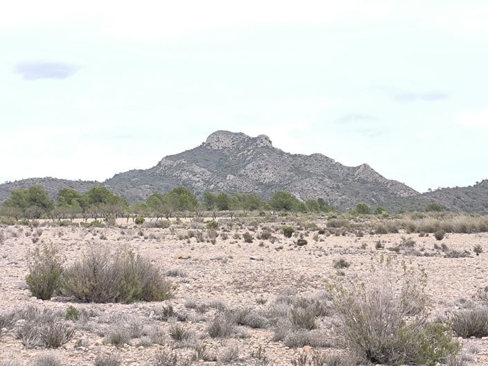 Image No.1-Land for sale