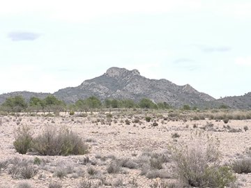 o1jc1tur881ab7ku5ood15pllso1m