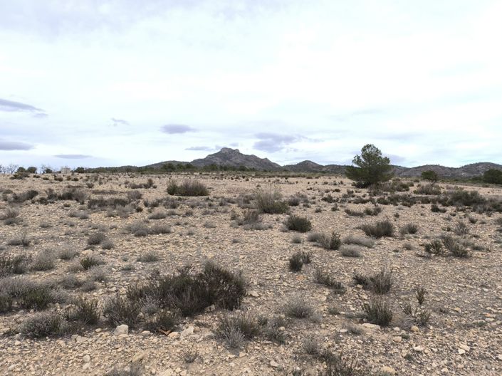 Image No.3-Land for sale