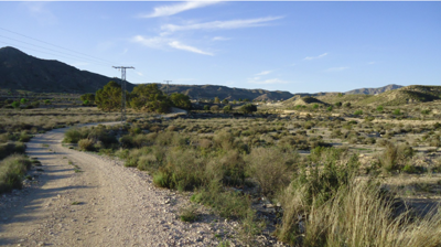 o1jc6me2illl06uk8jj126s1ang1e