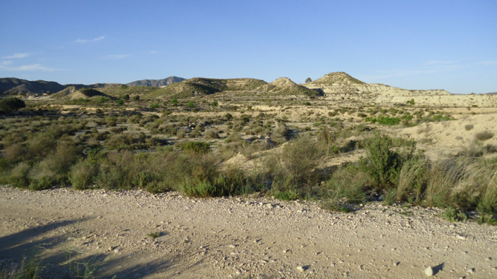 Image No.3-Land for sale