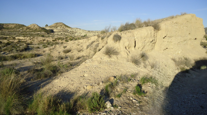 Image No.5-Land for sale