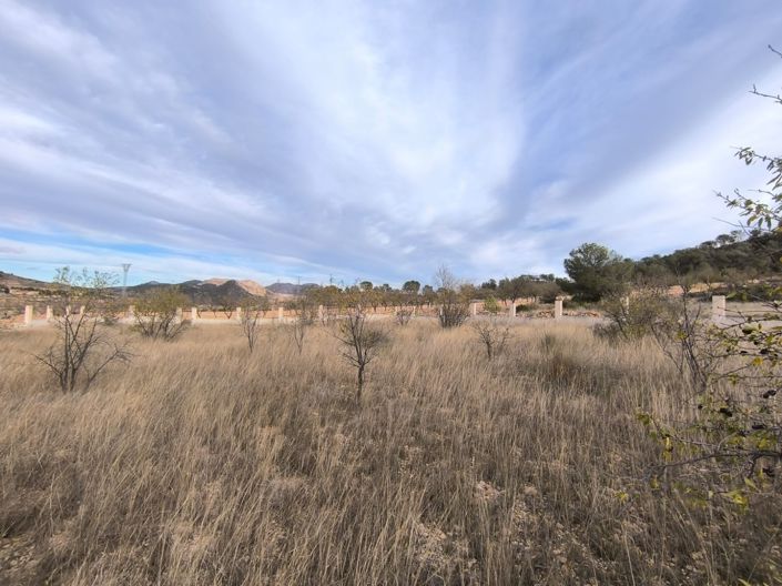 Image No.2-Land for sale